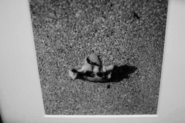 _MG_0078.JPG