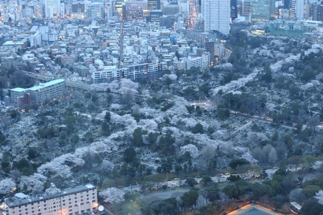 _MG_2284.JPG