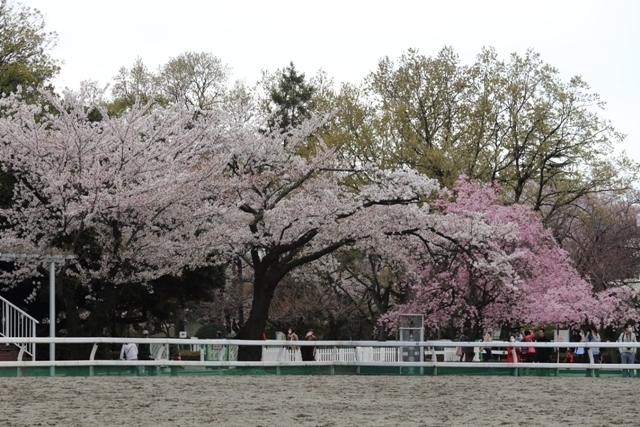 _MG_3253.JPG