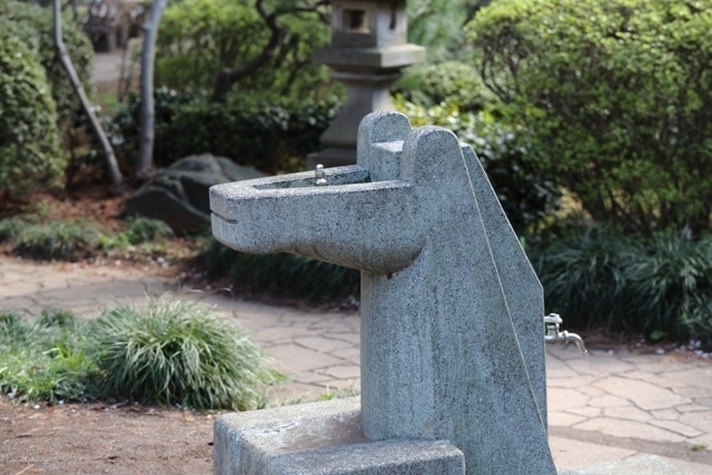 _MG_3283.JPG