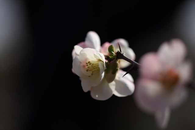 _MG_3317.JPG