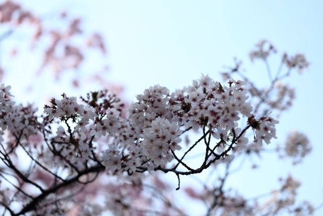 _MG_3339.JPG