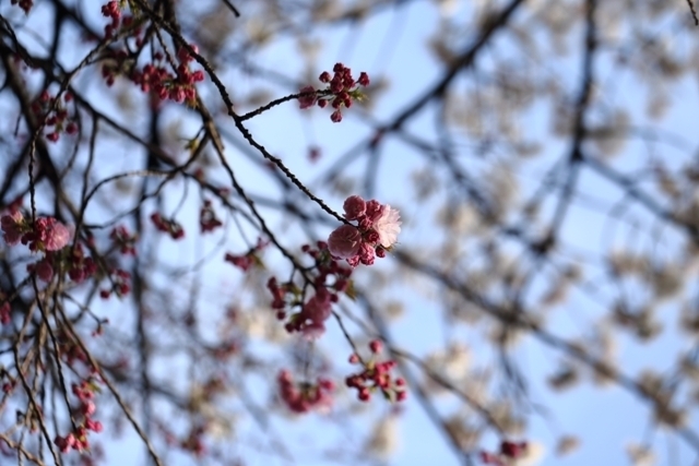 _MG_3363.JPG