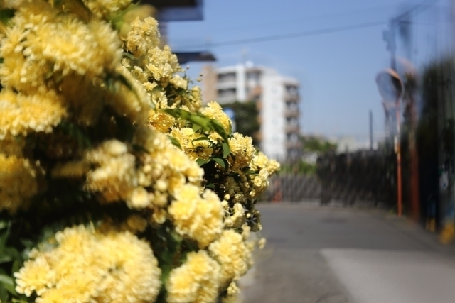 _MG_4769.JPG