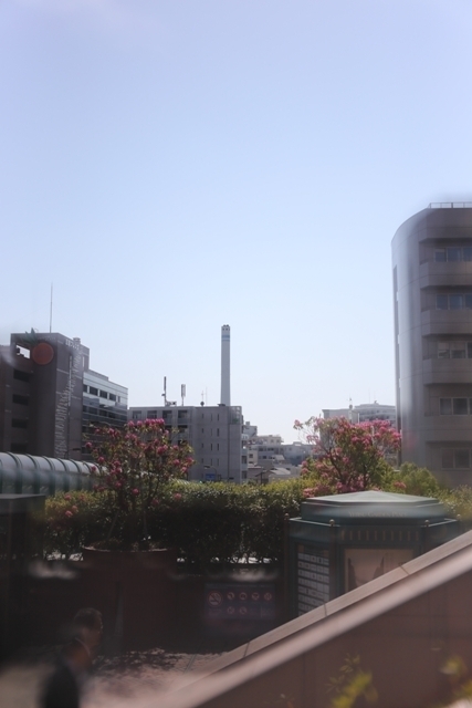 _MG_4781.JPG