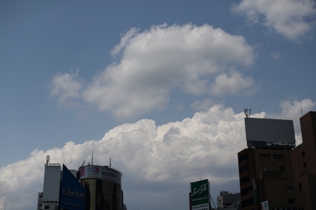 _MG_6304.JPG