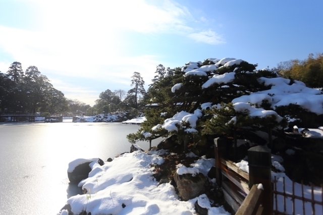 _MG_8256.JPG