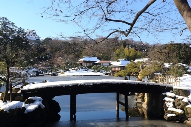 _MG_8268.JPG