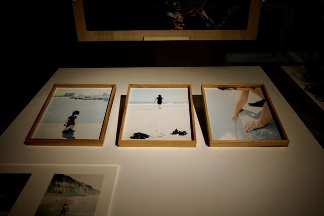 _P150186.jpg