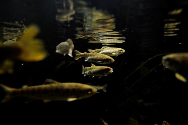 _P290029.jpg
