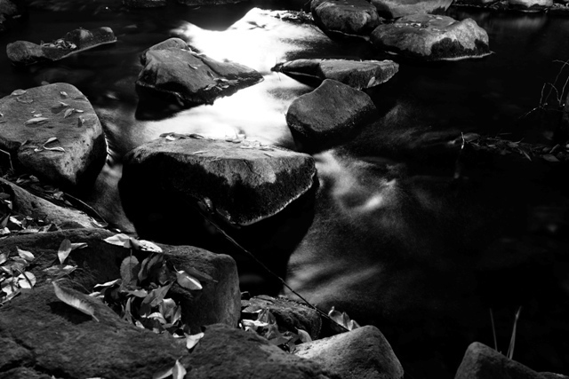 _P290118.jpg