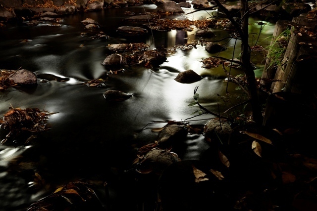 _P290131.jpg