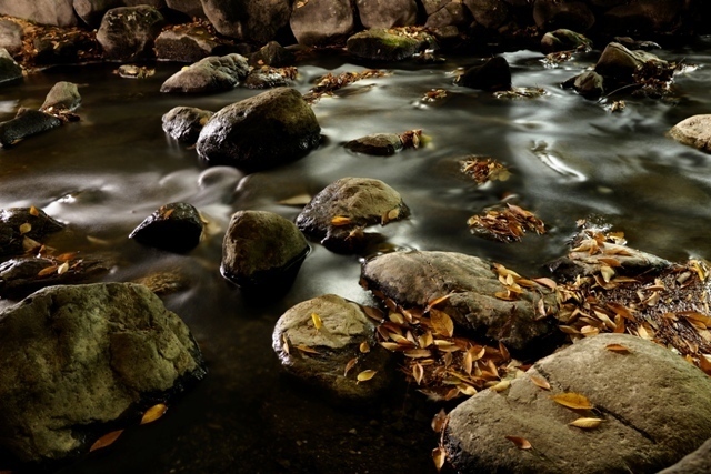 _P290133.jpg