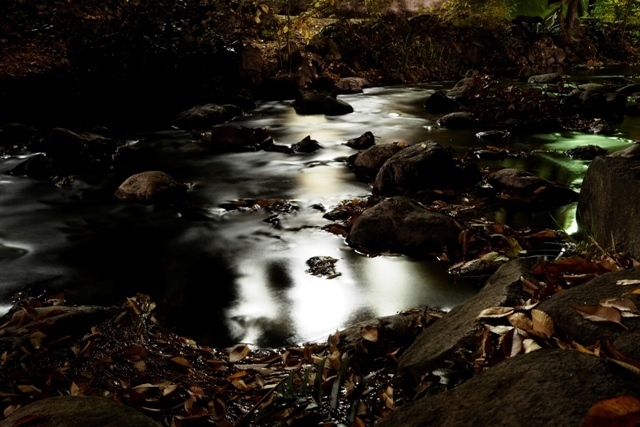 _P290134.jpg