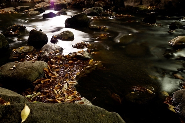 _P290135.jpg