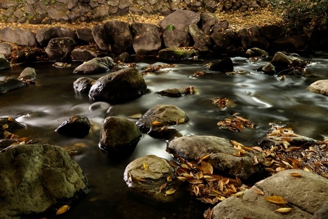 _P290137.jpg