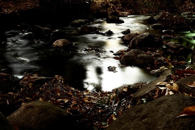 _P290138.jpg