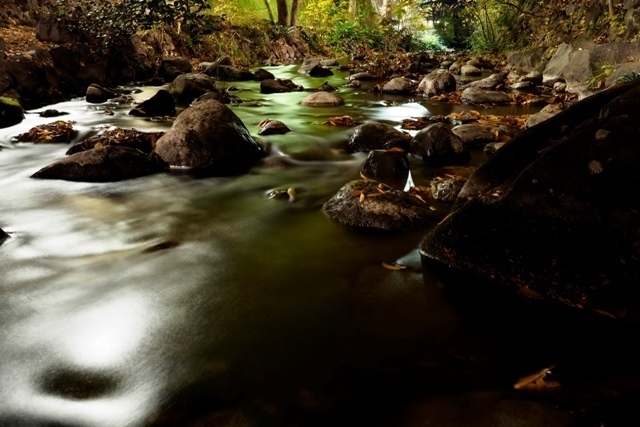 _P290140.jpg