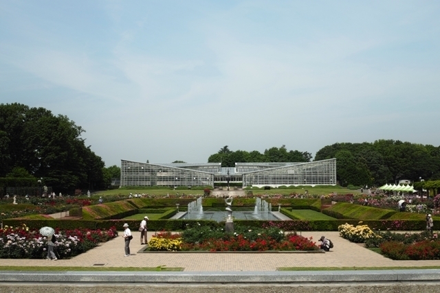 _SDI5788.jpg
