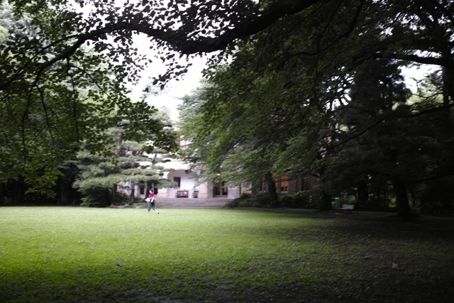 _SDI5949.jpg