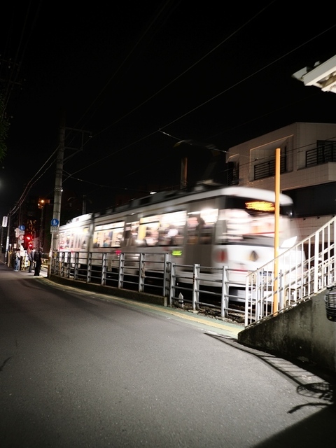 K1010012.jpg