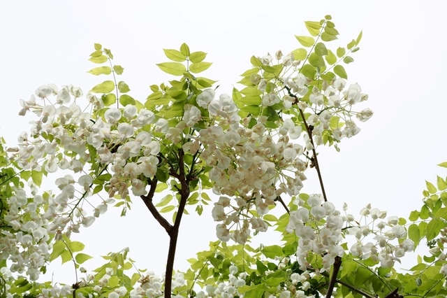 K1010024.jpg