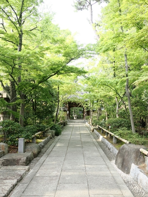 K1010091.jpg