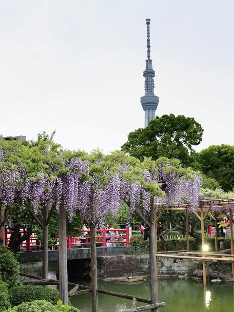 K1010108.jpg