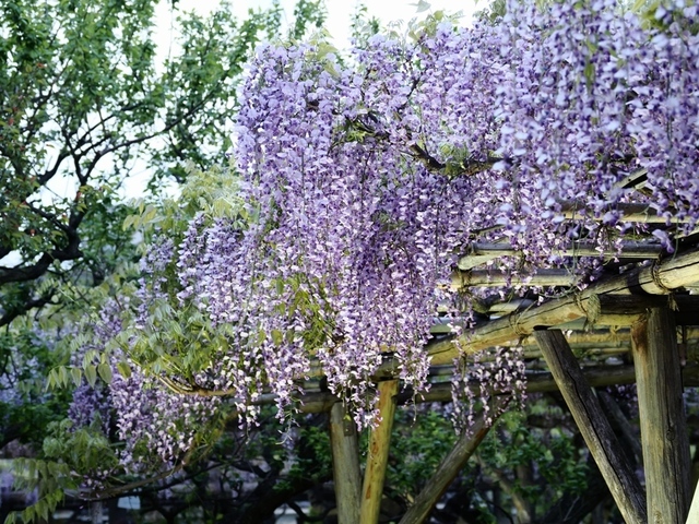 K1010110.jpg