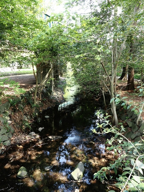 K1010258.jpg