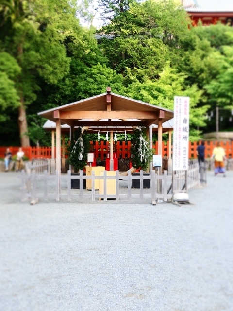 K6040932.JPG