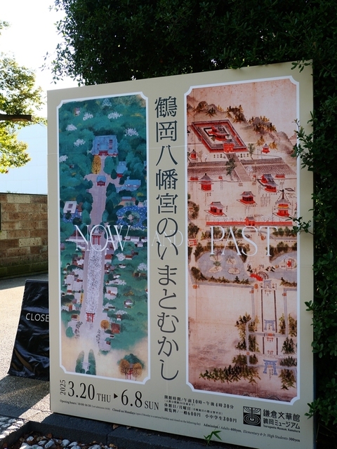 K6040935.JPG