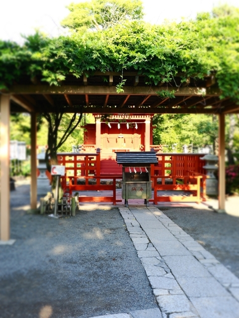 K6040938.JPG